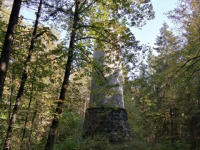 Herbstwanderung 9.10.21_15