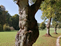 Herbstwanderung 9.10.21_25