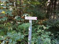 Herbstwanderung 9.10.21_9