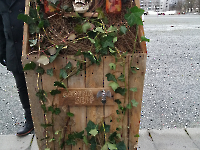 Faschingsumzug Bayreuth 2023_3