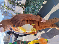 Faschingsumzug Bayreuth_15