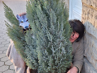 Faschingsumzug Bayreuth_27