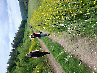 Wanderung Midnights 31.5.26_9